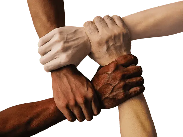 Astrology Consultations